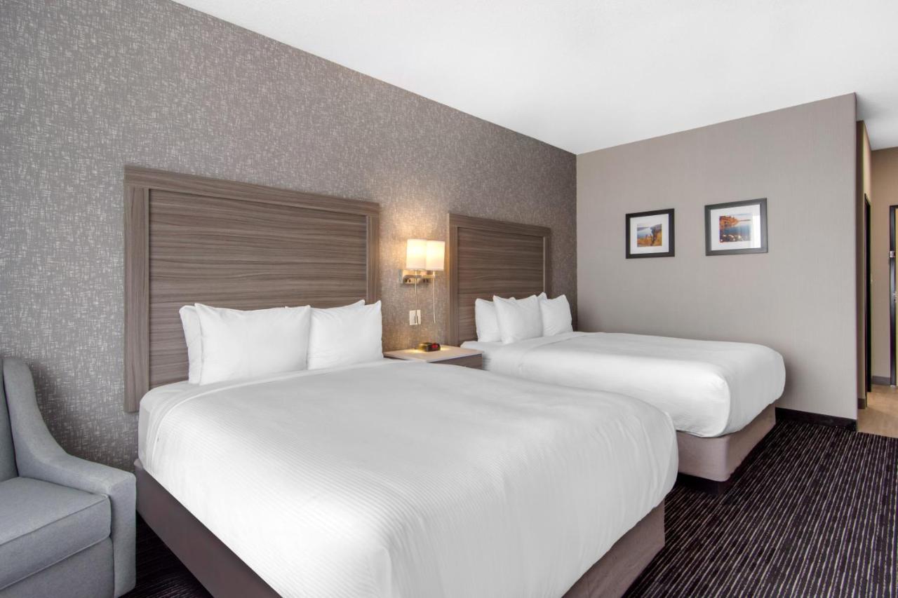 נורת' בטלפורד Comfort Inn & Suites מראה חיצוני תמונה