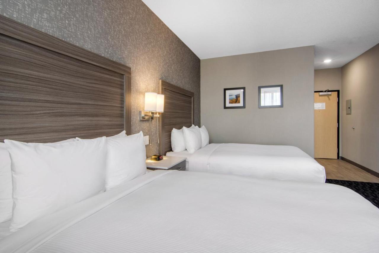 נורת' בטלפורד Comfort Inn & Suites מראה חיצוני תמונה