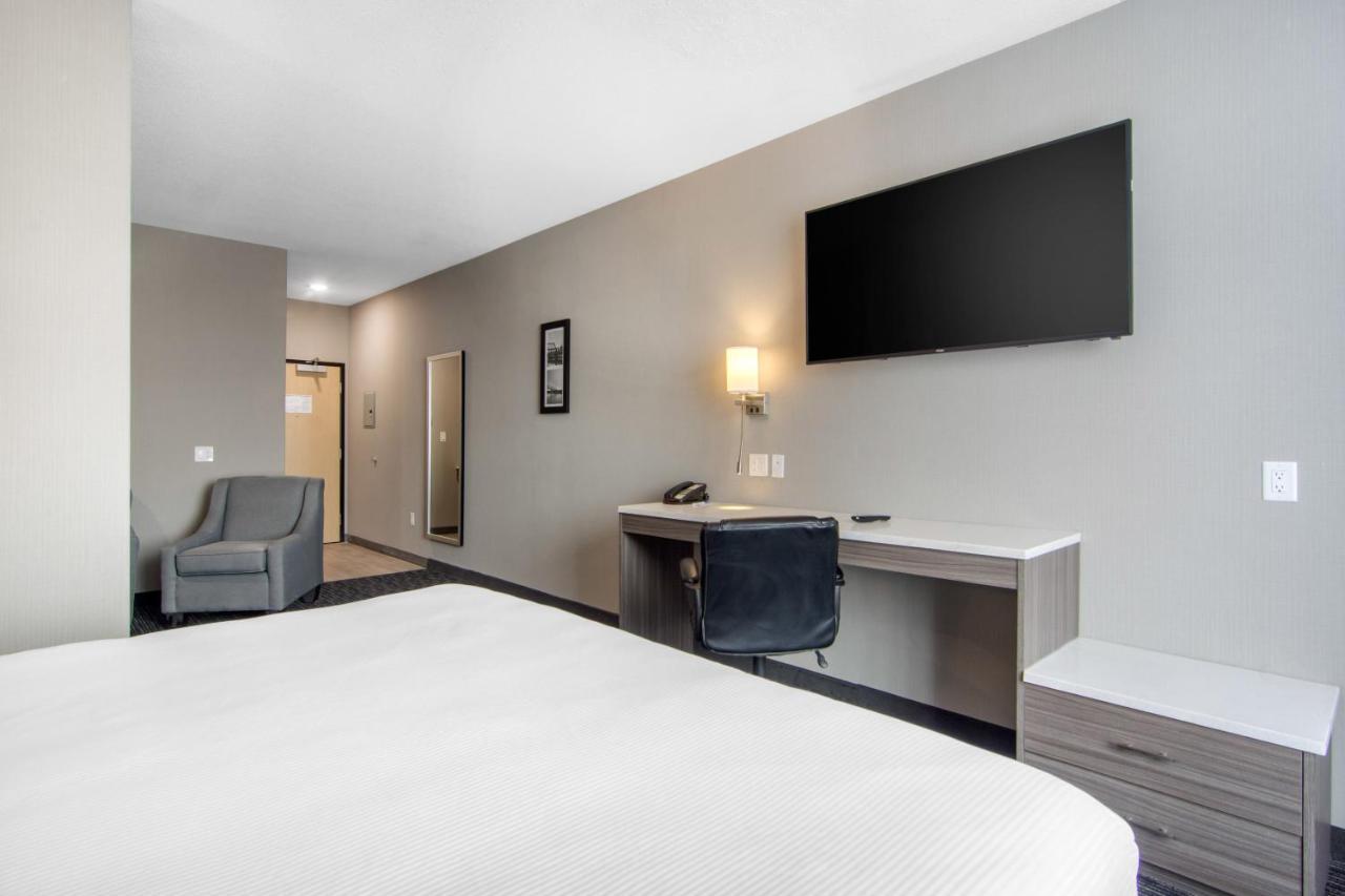 נורת' בטלפורד Comfort Inn & Suites מראה חיצוני תמונה