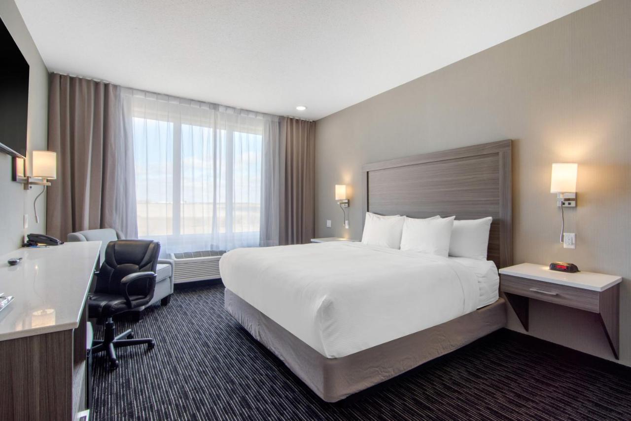 נורת' בטלפורד Comfort Inn & Suites מראה חיצוני תמונה
