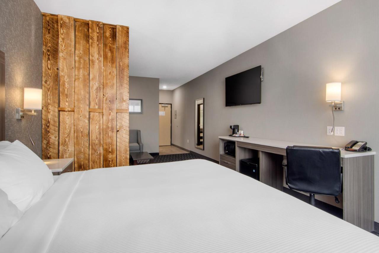 נורת' בטלפורד Comfort Inn & Suites מראה חיצוני תמונה